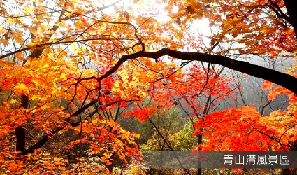 青山溝風景區
